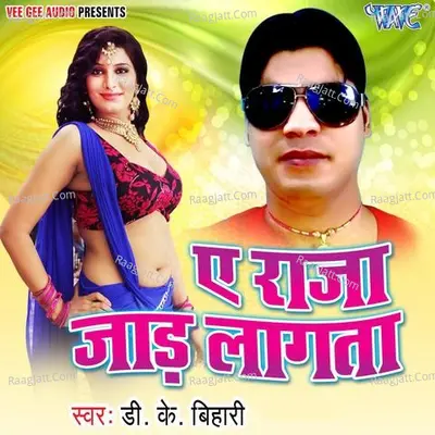 Ae Raja Jaad Lagata - D.K Bihari cover album