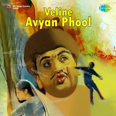 Veline Avyan Phool - Mahesh Kumar cover album