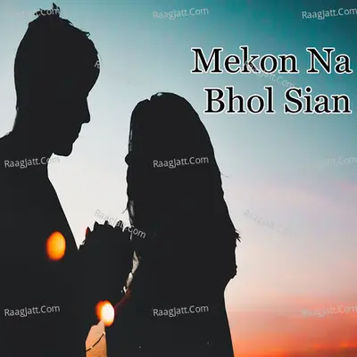 Mekon Na Bhol Sian - Amjad Ali Danish cover album