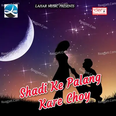 Shadi Ke Palang Kare Choy - Arvind Prajapati cover album