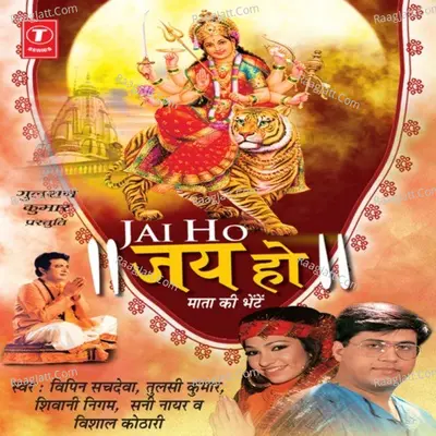 Jai Ho - Kailash Mehta cover album