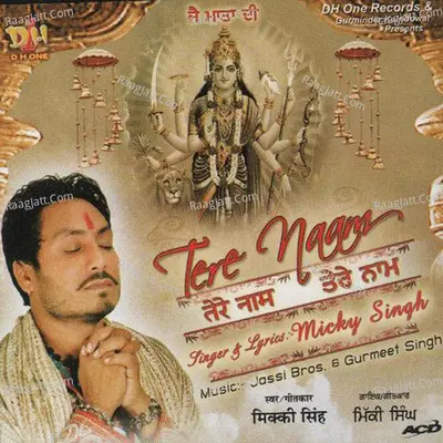 Tere Naam - Mickey Singh cover album