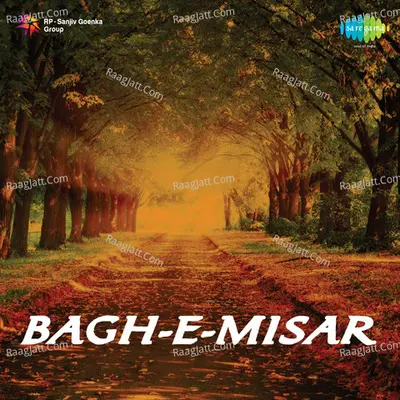 Bagh-E-Misar - Phiroz Dastur cover album