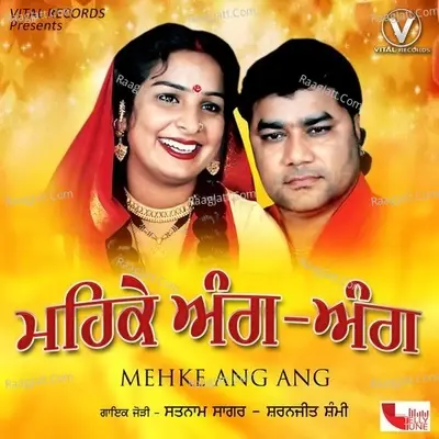 Mehke Ang Ang - SATNAM SAGAR cover album