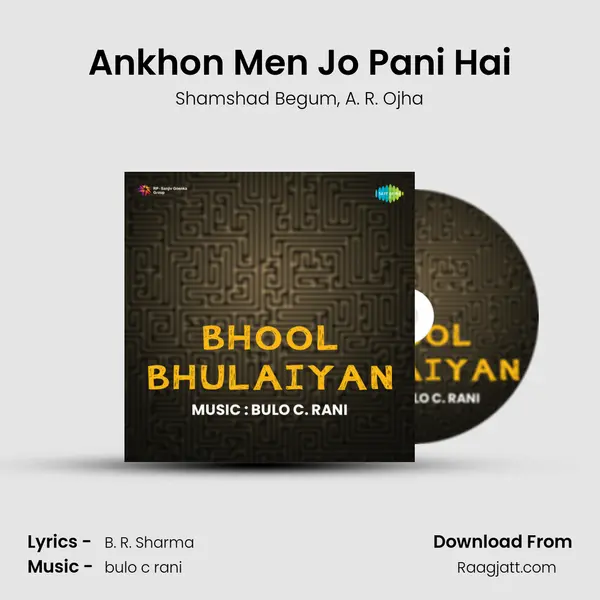 Ankhon Men Jo Pani Hai - Shamshad Begum album cover 