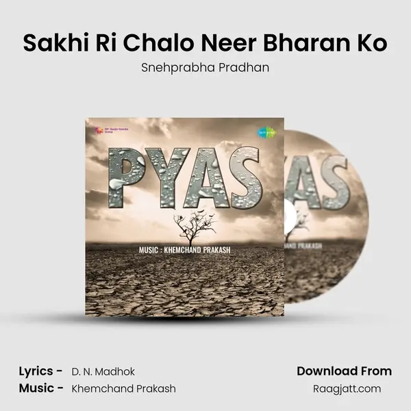 Sakhi Ri Chalo Neer Bharan Ko - Snehprabha Pradhan album cover 