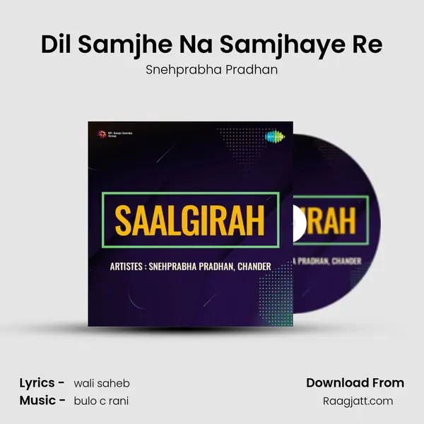 Dil Samjhe Na Samjhaye Re - Snehprabha Pradhan album cover 