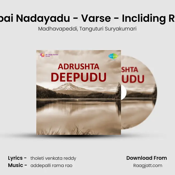 Nelapai Nadayadu - Varse - Incliding Ragas - Madhavapeddi album cover 