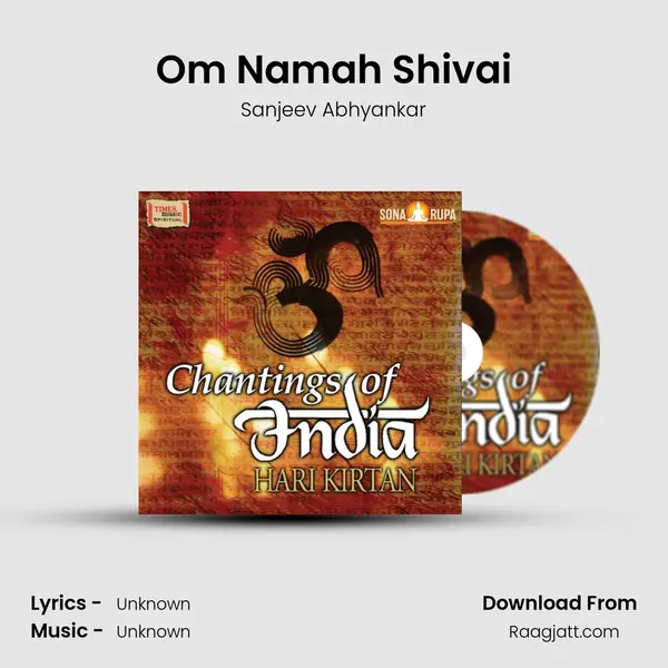 Om Namah Shivai - Sanjeev Abhyankar album cover 