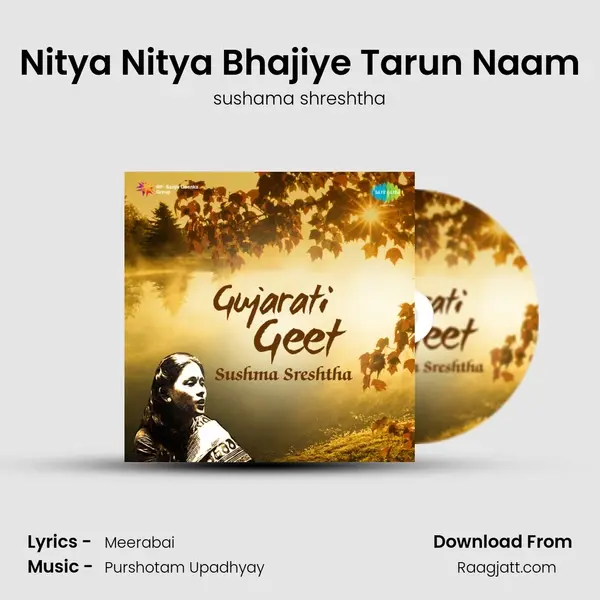 Nitya Nitya Bhajiye Tarun Naam mp3 song