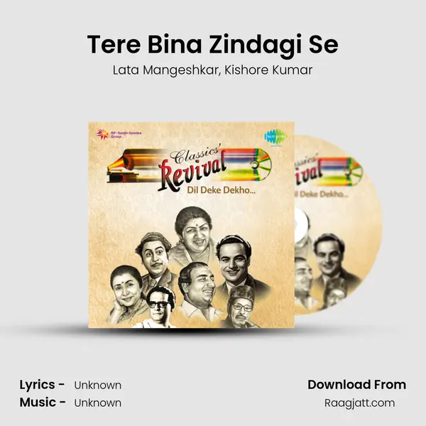 Tere Bina Zindagi Se - Lata Mangeshkar album cover 