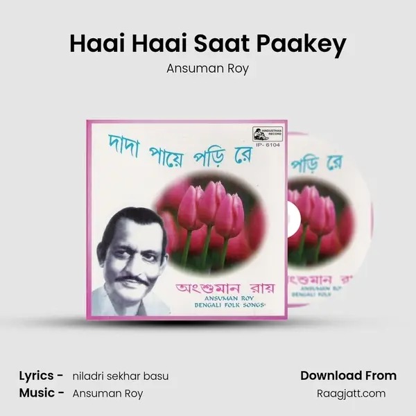 Haai Haai Saat Paakey - Ansuman Roy album cover 