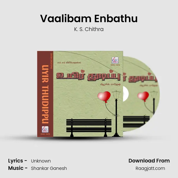 Vaalibam Enbathu - K. S. Chithra mp3 song