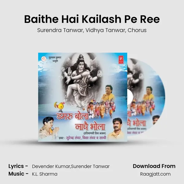 Baithe Hai Kailash Pe Ree mp3 song