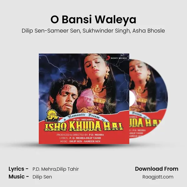 O Bansi Waleya - Dilip Sen-Sameer Sen album cover 