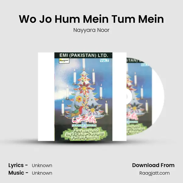 Wo Jo Hum Mein Tum Mein - Nayyara Noor mp3 song