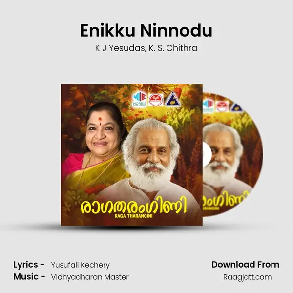 Enikku Ninnodu mp3 song