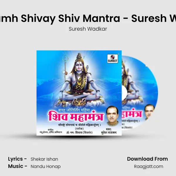 Om Namh Shivay Shiv Mantra - Suresh Wadkar mp3 song