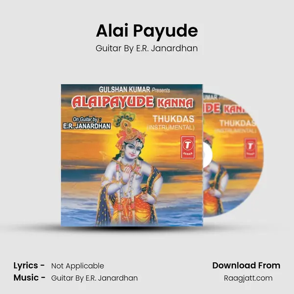 Alai Payude - Guitar By E.R. Janardhan album cover 