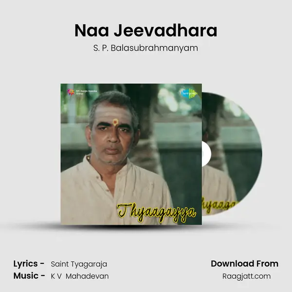 Naa Jeevadhara - S. P. Balasubrahmanyam album cover 