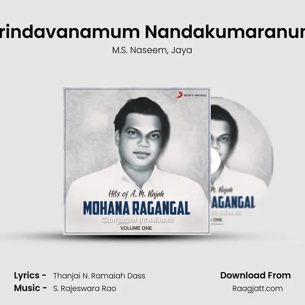 Brindavanamum Nandakumaranum - M.S. Naseem album cover 