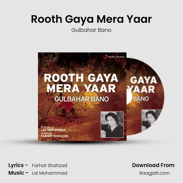 Rooth Gaya Mera Yaar - Gulbahar Bano album cover 