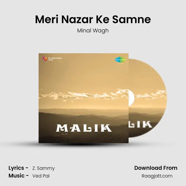 Meri Nazar Ke Samne - Minal Wagh album cover 