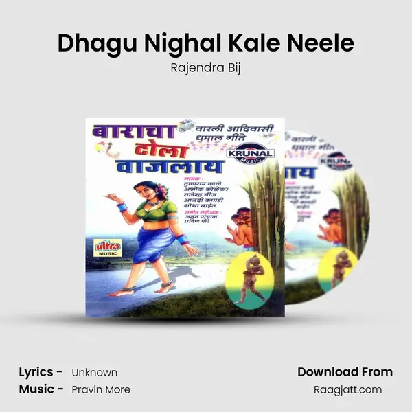 Dhagu Nighal Kale Neele - Rajendra Bij album cover 