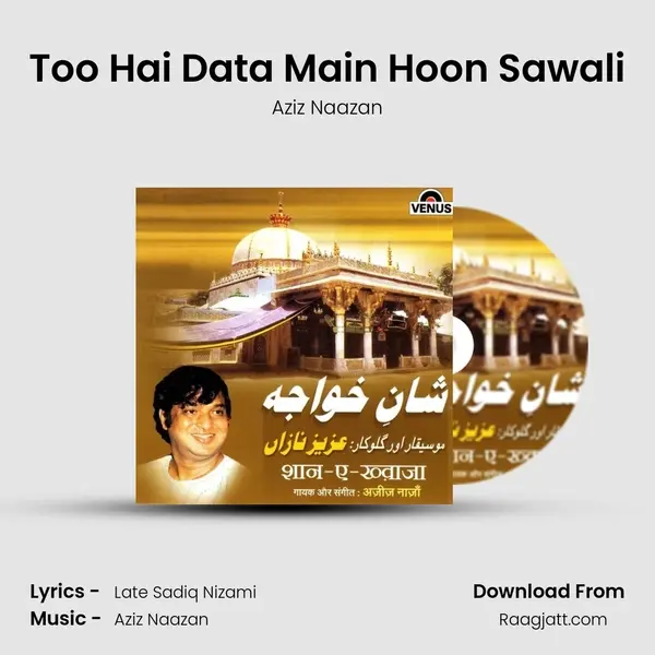 Too Hai Data Main Hoon Sawali - Aziz Naazan album cover 