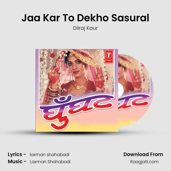 Jaa Kar To Dekho Sasural - Dilraj Kaur album cover 