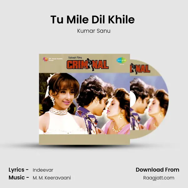 Tu Mile Dil Khile (Male) - Kumar Sanu album cover 