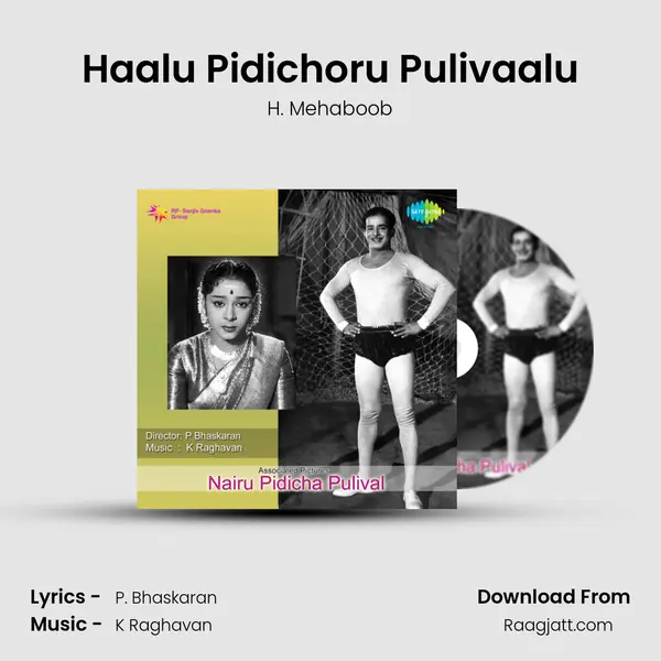 Haalu Pidichoru Pulivaalu mp3 song