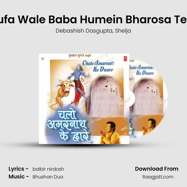 Gufa Wale Baba Humein Bharosa Tera - Debashish Dasgupta album cover 