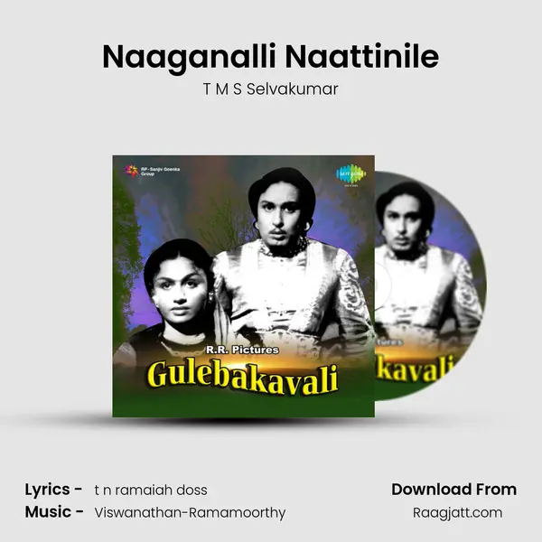 Naaganalli Naattinile - T M S Selvakumar album cover 