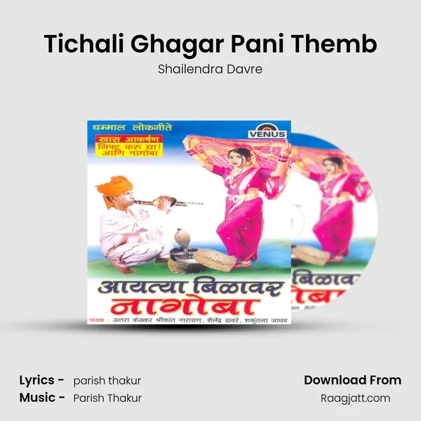 Tichali Ghagar Pani Themb - Shailendra Davre album cover 