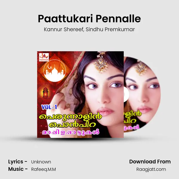 Paattukari Pennalle - Kannur Shereef album cover 