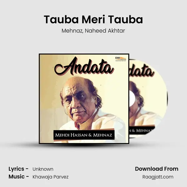 Tauba Meri Tauba - Mehnaz album cover 