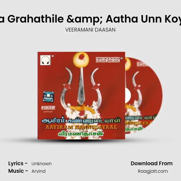 Garbha Grahathile & Aatha Unn Koyilukku - VEERAMANI DAASAN album cover 