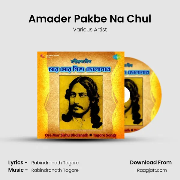 Amader Pakbe Na Chul - Various Artist album cover 