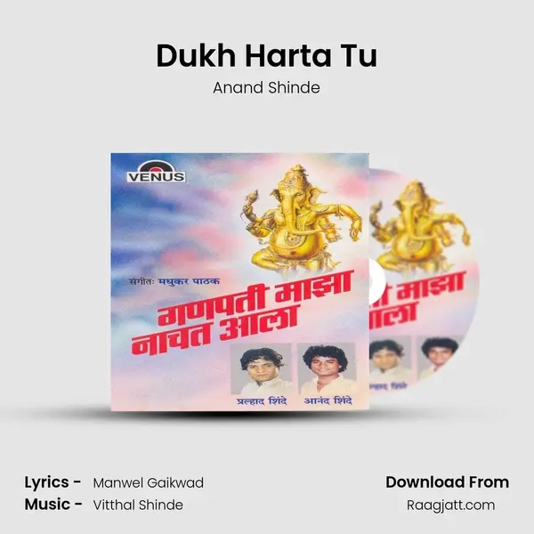 Dukh Harta Tu - Anand Shinde album cover 