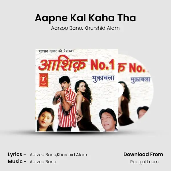 Aapne Kal Kaha Tha - Aarzoo Bano album cover 