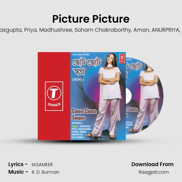 Picture Picture - Debashish Dasgupta album cover 