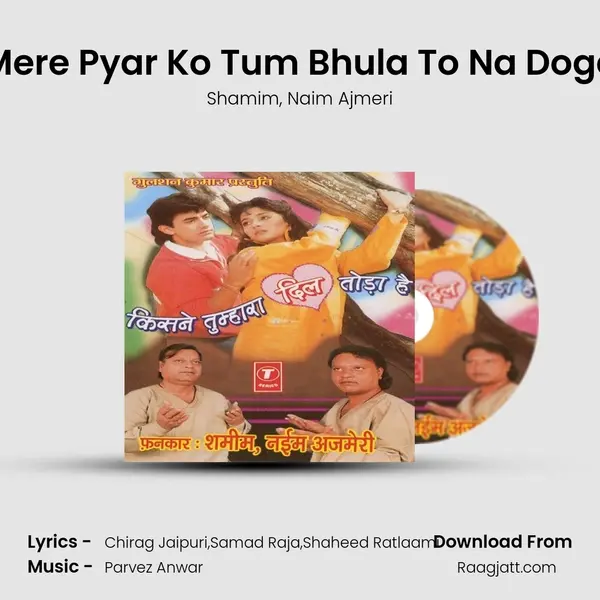 Mere Pyar Ko Tum Bhula To Na Doge mp3 song