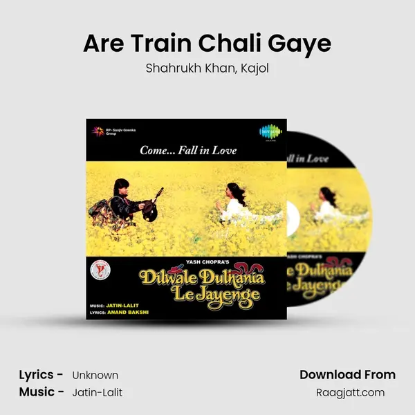 Are Train Chali Gaye - Shahrukh Khan album cover 