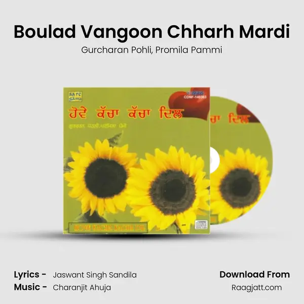 Boulad Vangoon Chharh Mardi mp3 song