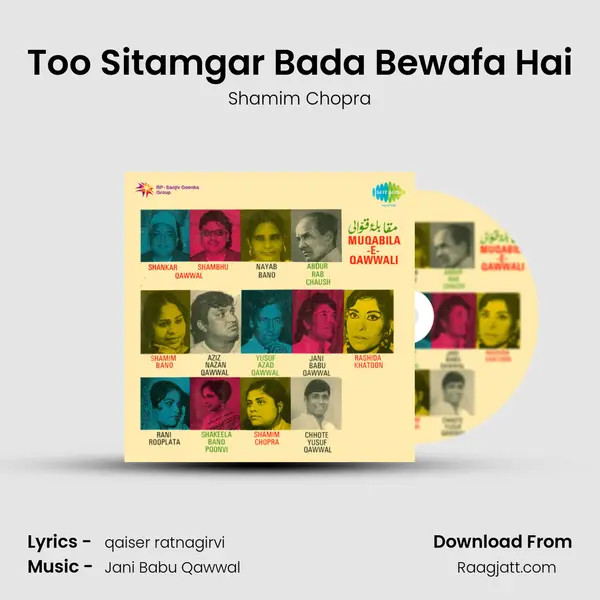 Too Sitamgar Bada Bewafa Hai - Shamim Chopra album cover 