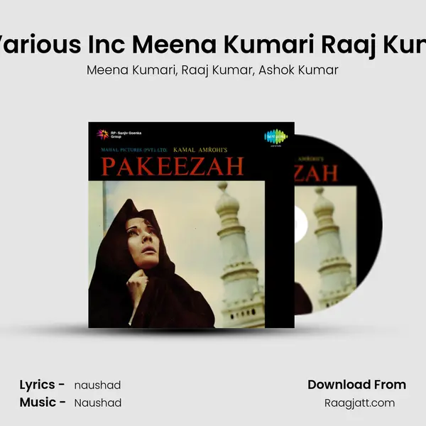 Dialogue Various Inc Meena Kumari Raaj Kumar Nadira - Meena Kumari album cover 