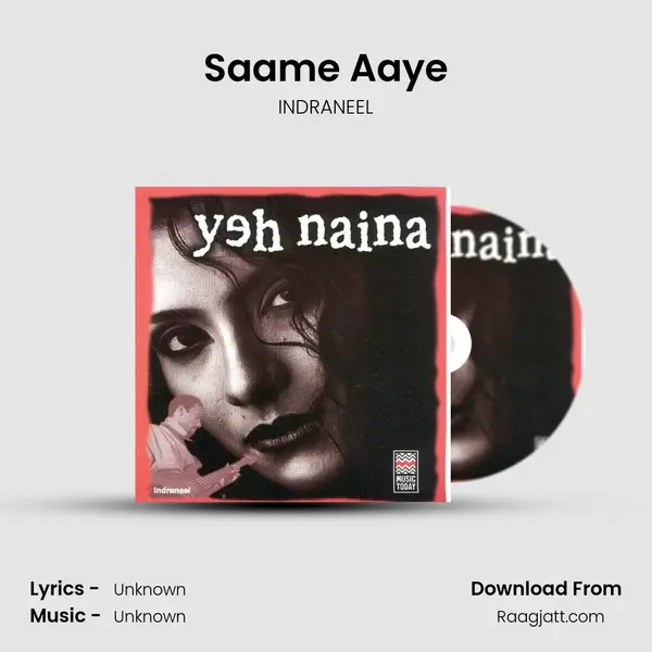 Saame Aaye - INDRANEEL album cover 