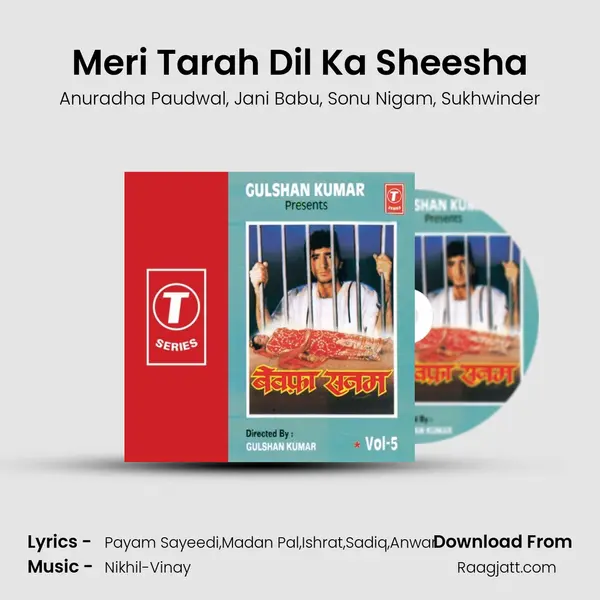 Meri Tarah Dil Ka Sheesha - Anuradha Paudwal album cover 