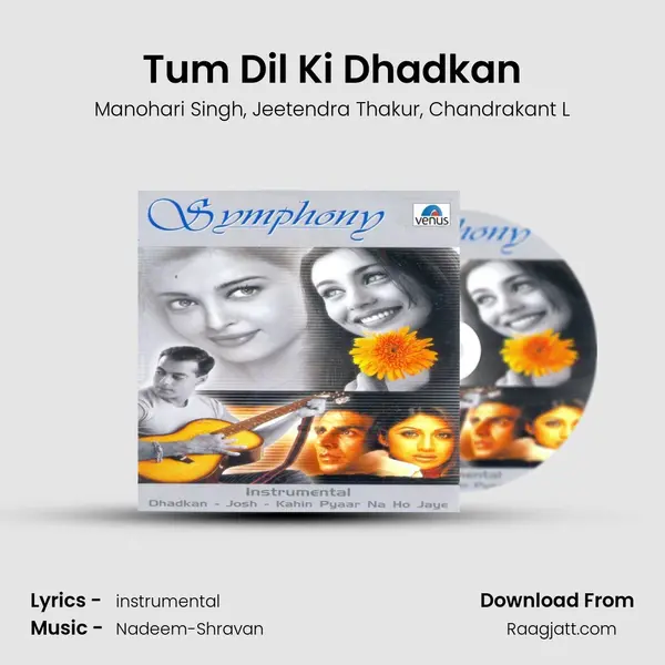 Tum Dil Ki Dhadkan mp3 song